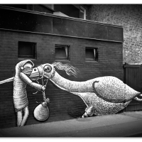 Another Big Bird From Phlegm*   S1