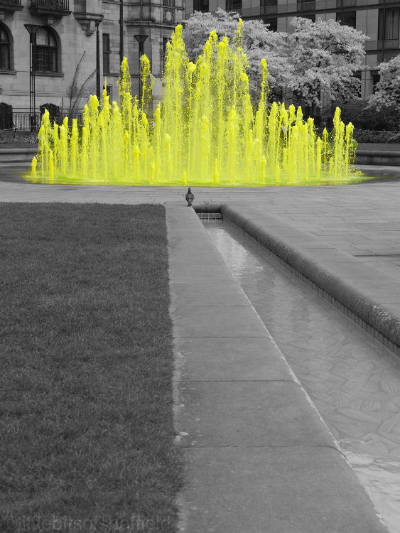Sheffield - Peace Garden Yellow Fountain 