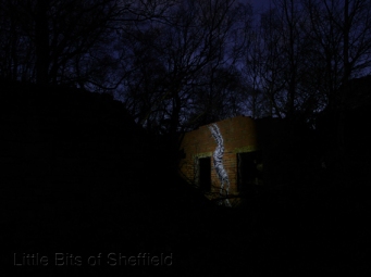 2. After Dark - Green Man by Phlegm - Sheffield - November 2014