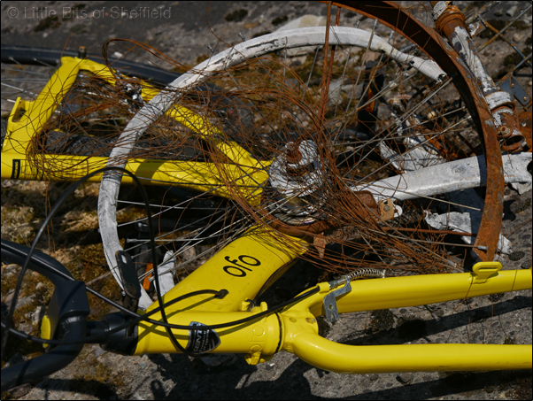 5. OFO Bicycles | Share or Shame | © Little Bits of Sheffield 2018 | SP1050443E